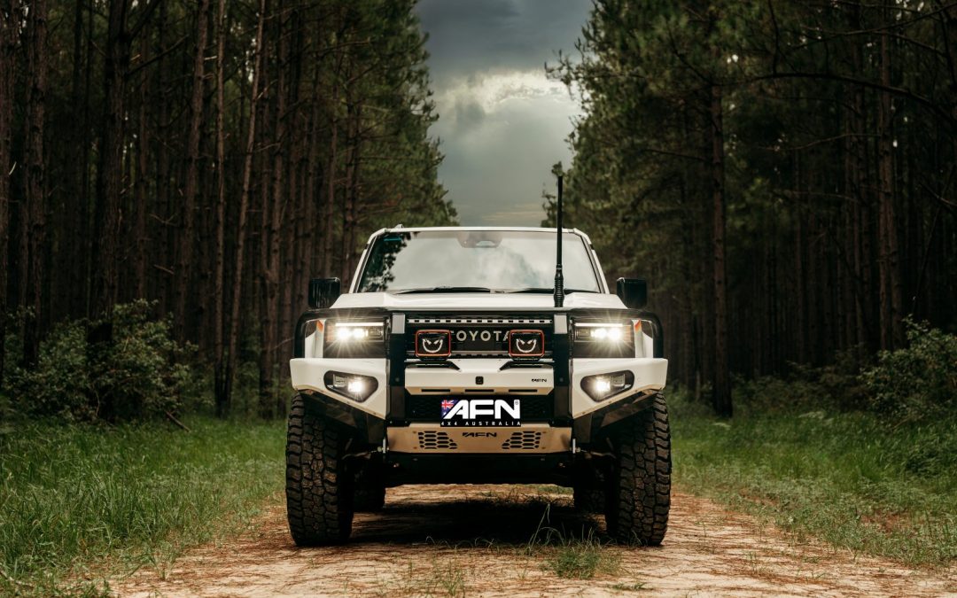250 Toyota Prado 2024+